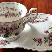 Royal Albert tazza tennis Settembre 