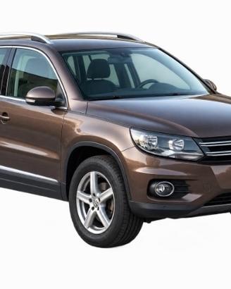 VW Tiguan 2011