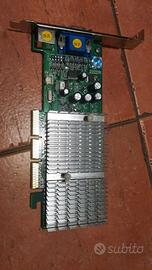 Scheda video NVIDIA GeForce FX5200