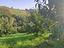 Immagine 10
