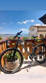 Bicicletta Bottecchia 116 MTB 29 Altus Disk 16S