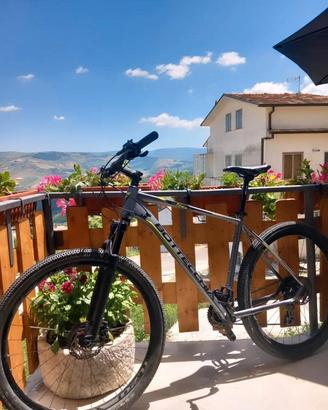 Bicicletta Bottecchia 116 MTB 29 Altus Disk 16S