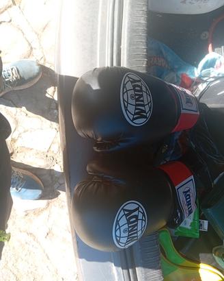 guanti da boxe