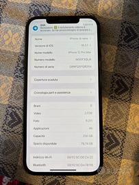 iphone 12 pro max 256