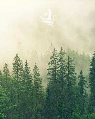 Comune di Racines: Bosco