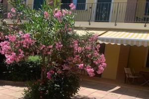 Affitto casa al mare