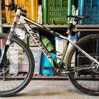 mountain bike cannondale