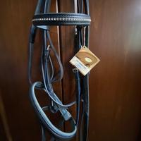 Testiera Cavallo Stubben