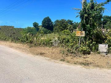 TER. RESIDENZIALE A ARDEA