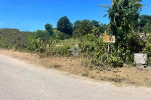 TER. RESIDENZIALE A ARDEA