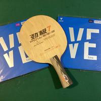 Racchetta ping pong professionale DHS / VICTAS