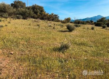 Terreno Agricolo in Bari Sardo Vicino al Mare