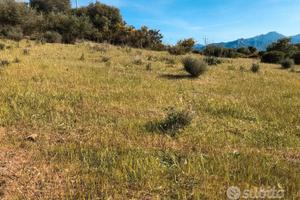 Terreno Agricolo in Bari Sardo Vicino al Mare