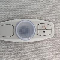 Plafoniera anteriore FORD FOCUS del 2015