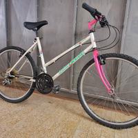 bicicletta 26 