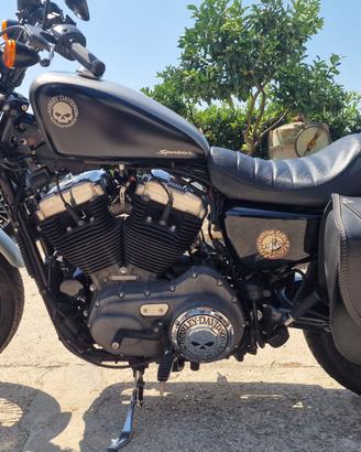 Sportster nightster 1200
