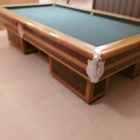 biliardo professionale