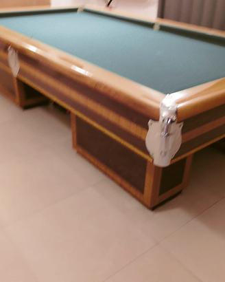 biliardo professionale