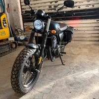 Archive scrambler 250