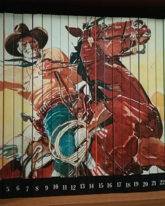 TEX cartonato