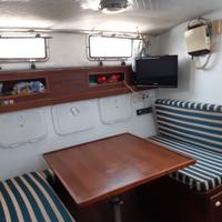 Barca FIART MARE ZEUS 32