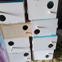 Nidi per diamanti di gould