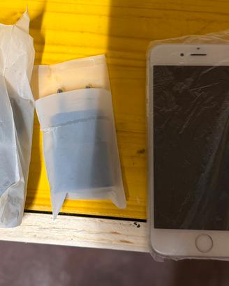 iPhone 6
