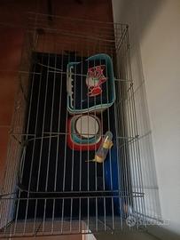 accessori coniglio nano 