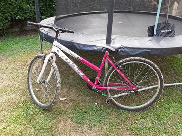 mountain bike  donna