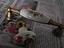 Immagine 3
