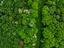 Immagine 19