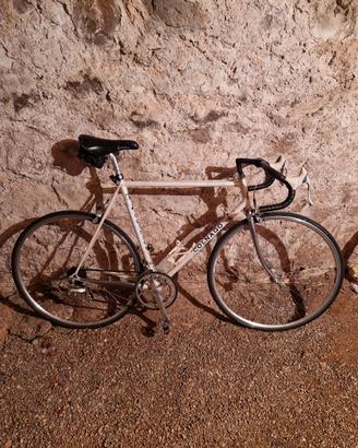 Colnago Victory Vintage