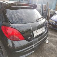 Portellone nudo PEUGEOT 207 del 2008