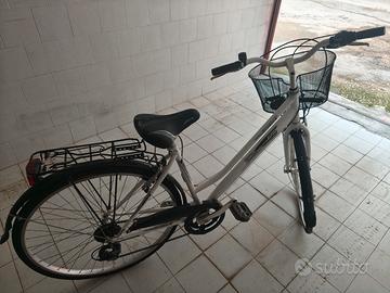 Bicicletta da donna Capriolo