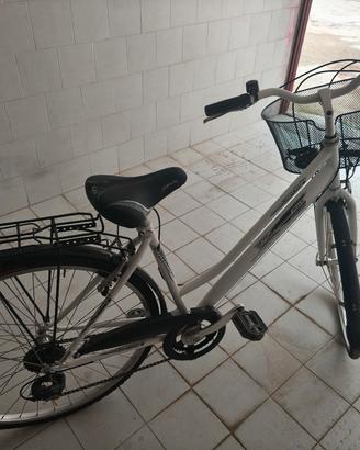 Bicicletta da donna Capriolo