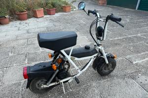 Di Blasi 50 2 tempi pieghevole