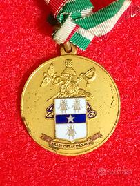 Medaglia centenario servizio esercito 