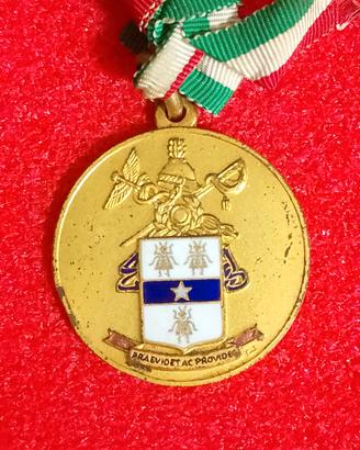 Medaglia centenario servizio esercito 