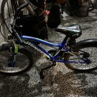 Bici bambino Mountain Bike 20’