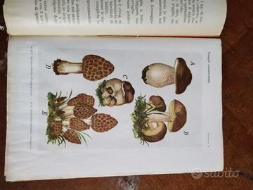 il cuoco sapiente di Calisto Craveri 1932 libro