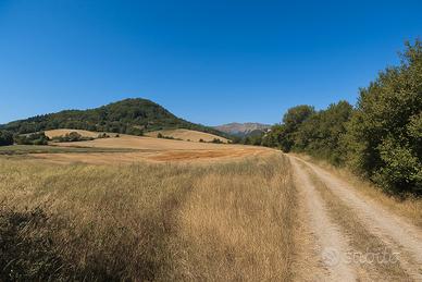 Terreno agricolo di 10 ettari