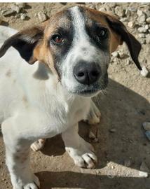 Miki pronto a riempire la tua vita di gioia