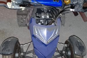 Quad 50cc
