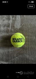 Pallina Roland Garros autografata Jannik Sinner