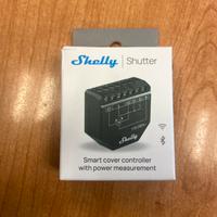 Shelly Shutter x 1