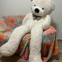 Orso peluche 200cm