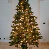 Albero di Natale