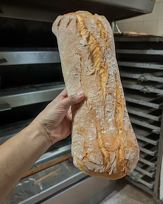 Panettiere