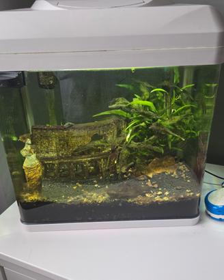 acquario billy 30 lt