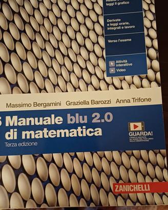 5 manuale blu 2.0 di matematica 